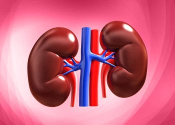 7 Tumbuhan Herbal Pelindung Ginjal: Murah, Aman, dan Berkhasiat