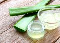 6 Tumbuhan Herbal yang Ampuh Mengatasi Jerawat Secara Alami