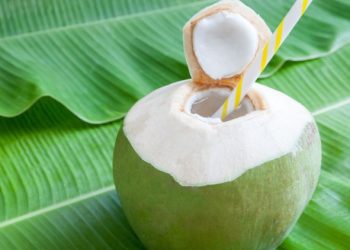Manfaat Kelapa Muda untuk Kesehatan Tubuh: Minuman Alami yang Kaya Nutrisi