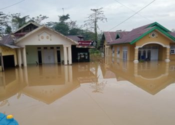 Kali Wanggu Meluap, Ratusan Rumah di Kota Kendari Terendam