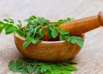 7 Tanaman Herbal Anti-Penuaan Dini, Rahasia Awet Muda Secara Alami