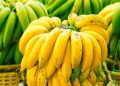 Buah Pisang