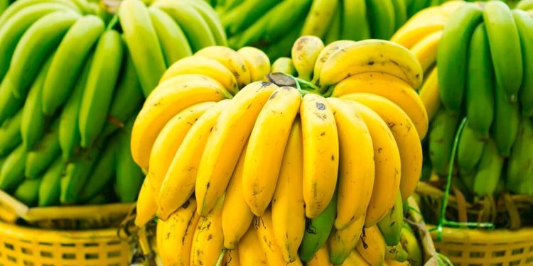 Buah Pisang