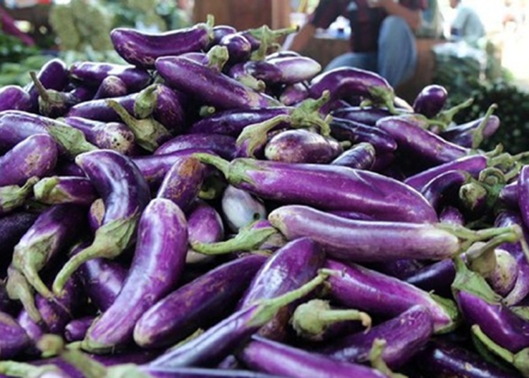 8 Manfaat Terong bagi Kesehatan: Sayuran Murah dengan Khasiat Luar Biasa