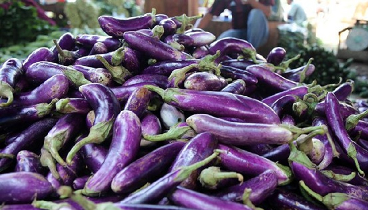 8 Manfaat Terong bagi Kesehatan: Sayuran Murah dengan Khasiat Luar Biasa