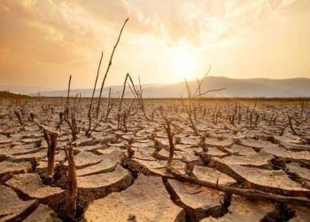 El Nino, Karhutla, dan Ikhtiar Memohon Hujan Melalui Shalat Istisqa’